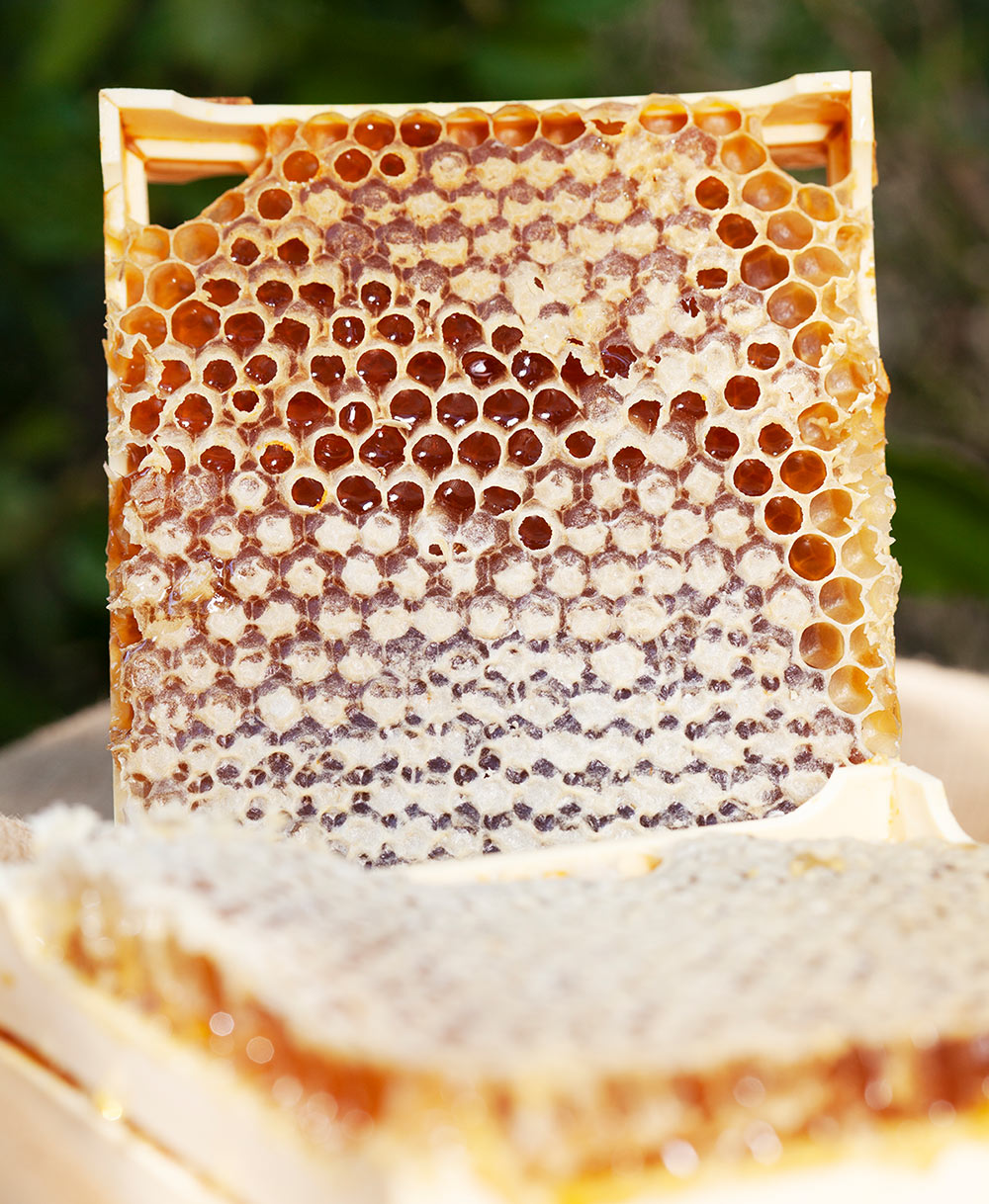 Petits Rayons de Miel – Image 2